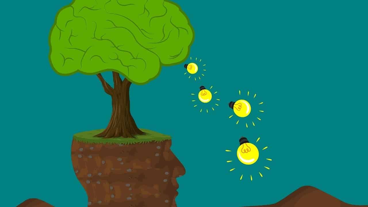 Does Hannaford Take EBT? Your Guide to Using Food Stamps